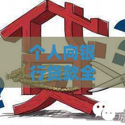 个人向银行贷款全指南：流程、条件及注意事项