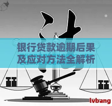 银行贷款逾期后果及应对方法全解析