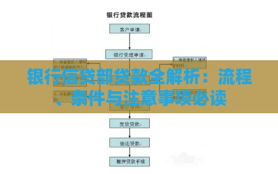 银行信贷部贷款全解析：流程、条件与注意事项必读