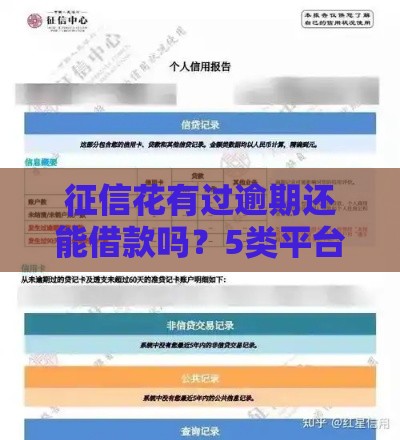 征信花有过逾期还能借款吗？5类平台实测解析