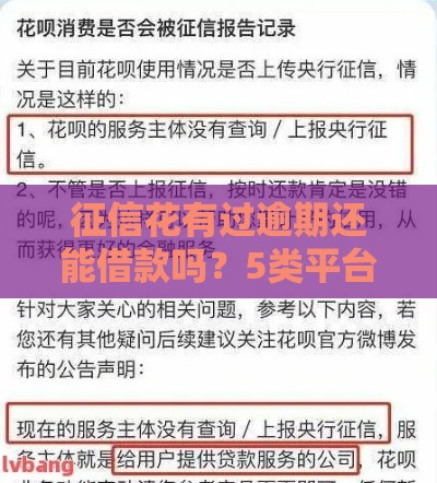 征信花有过逾期还能借款吗？5类平台实测解析