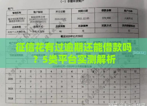 征信花有过逾期还能借款吗？5类平台实测解析