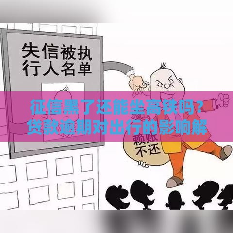 征信黑了还能坐高铁吗？贷款逾期对出行的影响解析