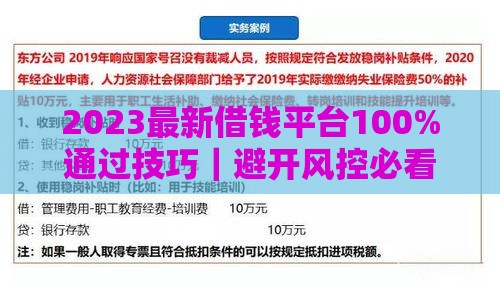2023最新借钱平台100%通过技巧｜避开风控必看指南