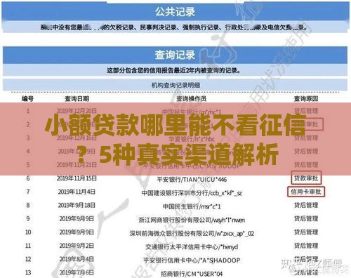 小额贷款哪里能不看征信？5种真实渠道解析