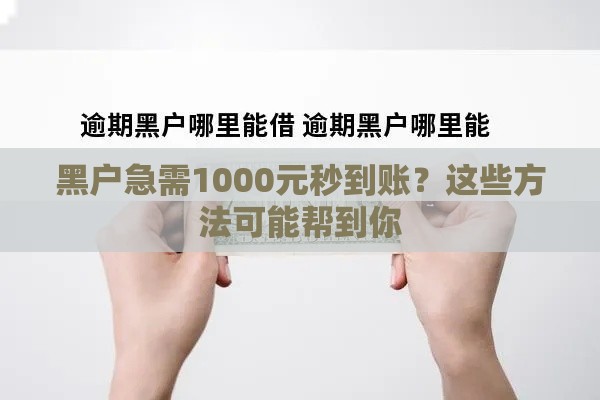 黑户急需1000元秒到账？这些方法可能帮到你