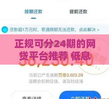 正规可分24期的网贷平台推荐 低息安全借款指南