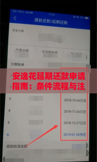 安逸花延期还款申请指南：条件流程与注意事项