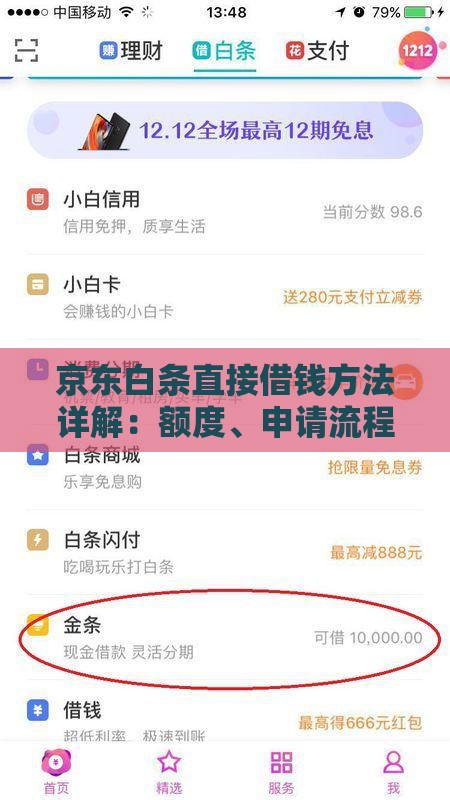 京东白条直接借钱方法详解：额度、申请流程、还款攻略