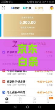 京东白条直接借钱方法详解：额度、申请流程、还款攻略