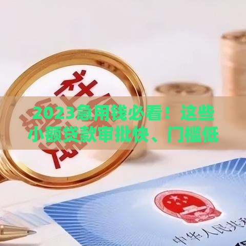 2023急用钱必看！这些小额贷款审批快、门槛低