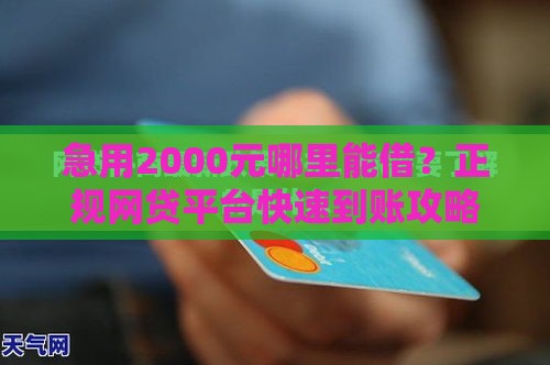 急用2000元哪里能借？正规网贷平台快速到账攻略