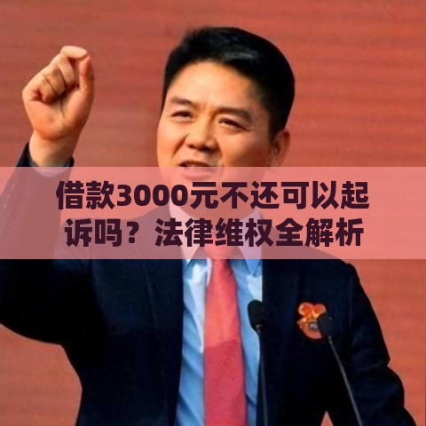 借款3000元不还可以起诉吗？法律维权全解析