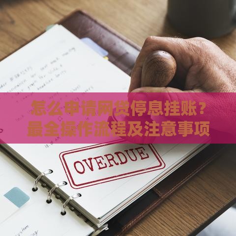 怎么申请网贷停息挂账？最全操作流程及注意事项
