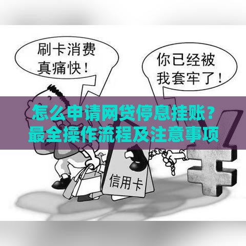 怎么申请网贷停息挂账？最全操作流程及注意事项