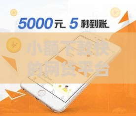 小额下款快的网贷平台推荐及申请指南