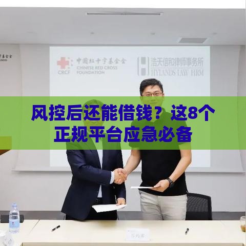 风控后还能借钱？这8个正规平台应急必备
