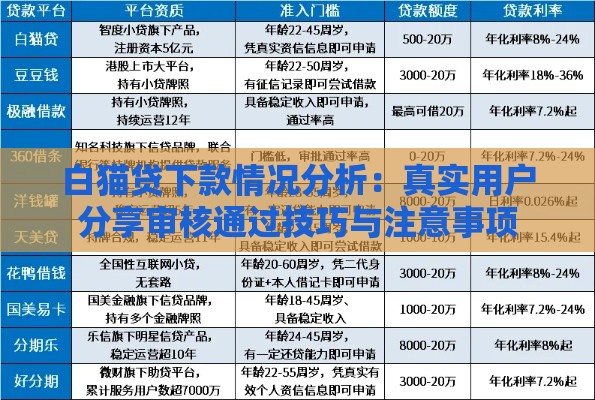 白猫贷下款情况分析：真实用户分享审核通过技巧与注意事项