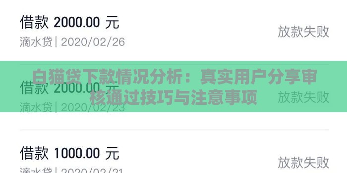 白猫贷下款情况分析：真实用户分享审核通过技巧与注意事项