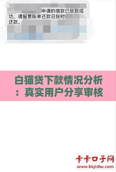 白猫贷下款情况分析：真实用户分享审核通过技巧与注意事项