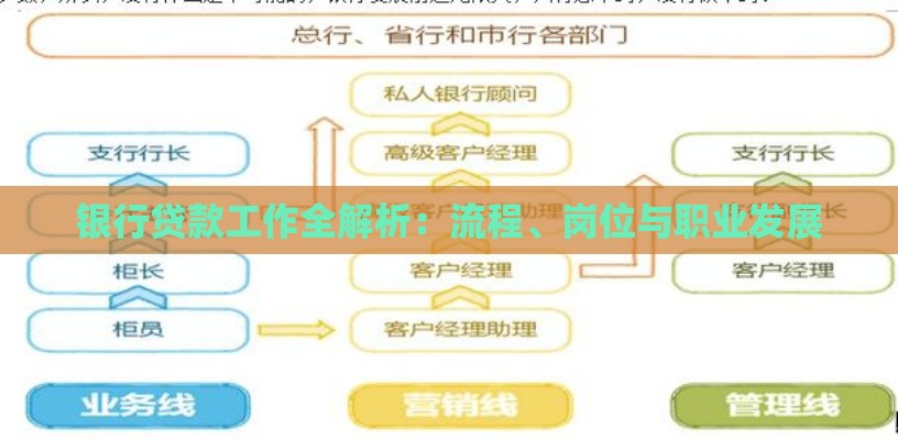 银行贷款工作全解析：流程、岗位与职业发展