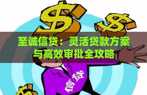 至诚信贷：灵活贷款方案与高效审批全攻略