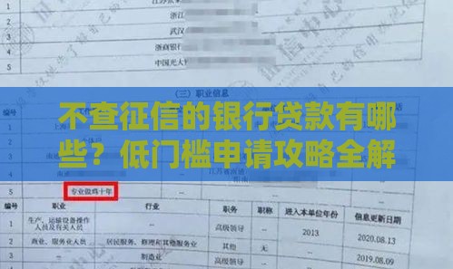 不查征信的银行贷款有哪些？低门槛申请攻略全解析