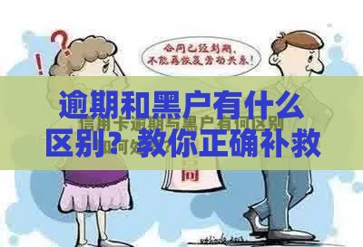 逾期和黑户有什么区别？教你正确补救方法