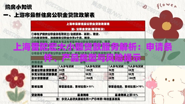 上海普陀宏大小额贷款服务解析：申请条件、产品类型与风险提示