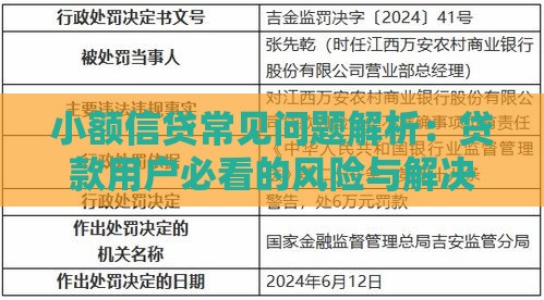 小额信贷常见问题解析：贷款用户必看的风险与解决方案