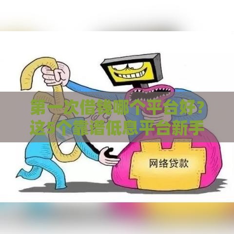 第一次借钱哪个平台好？这5个靠谱低息平台新手必看