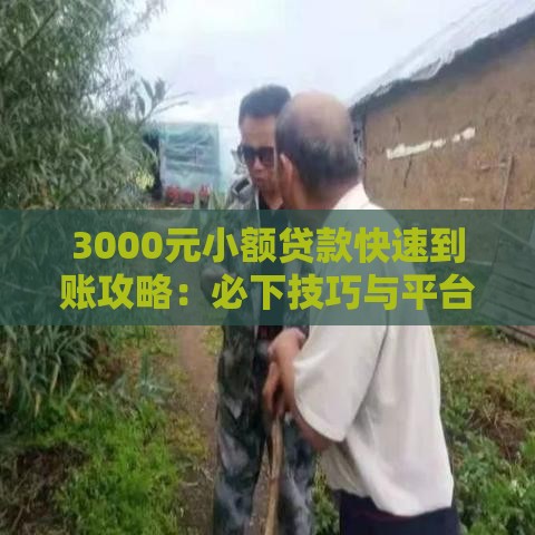 3000元小额贷款快速到账攻略：必下技巧与平台推荐