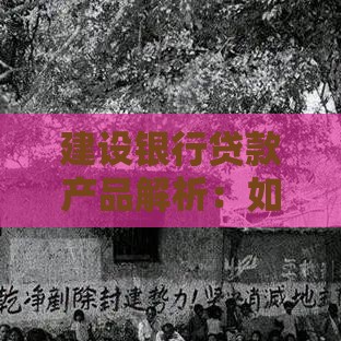 建设银行贷款产品解析：如何选择最适合的借款方案？