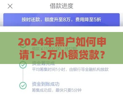 2024年黑户如何申请1-2万小额贷款？这些渠道真实靠谱