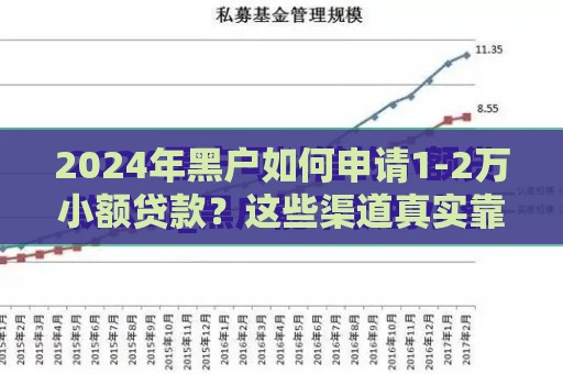 2024年黑户如何申请1-2万小额贷款？这些渠道真实靠谱