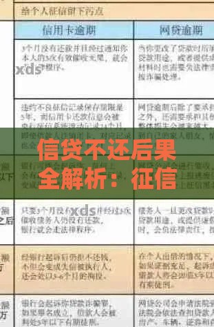 信贷不还后果全解析：征信受损、法律风险与生活影响