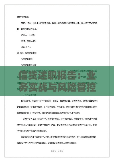 信贷述职报告：业务实战与风险管控深度解析