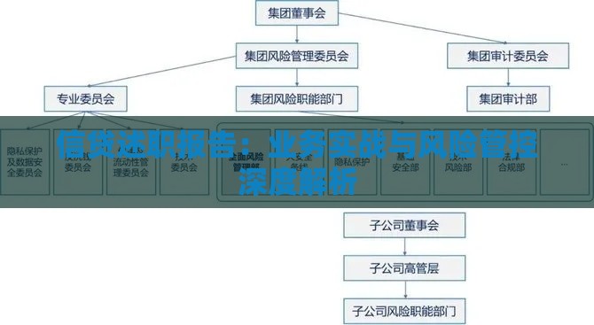信贷述职报告：业务实战与风险管控深度解析