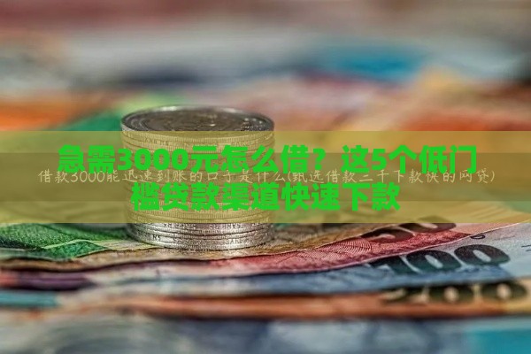 急需3000元怎么借？这5个低门槛贷款渠道快速下款