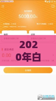 2020年白户贷款攻略：这些渠道容易下款，助你快速解决资金需求