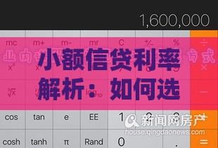 小额信贷利率解析：如何选择低息贷款及影响因素
