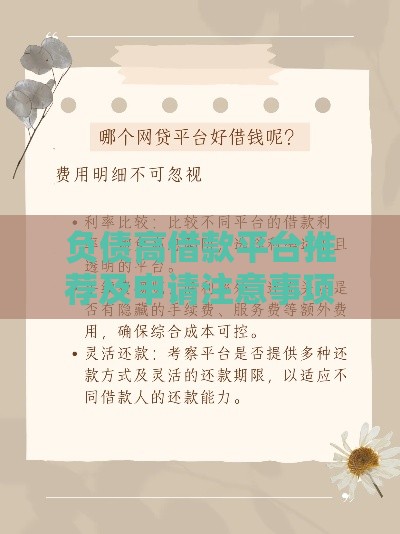 负债高借款平台推荐及申请注意事项
