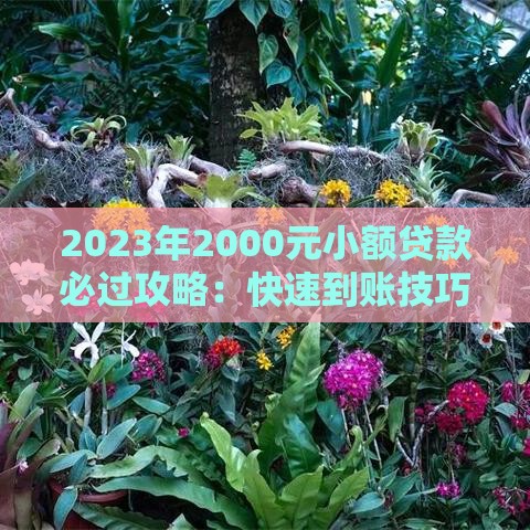 2023年2000元小额贷款必过攻略：快速到账技巧解析