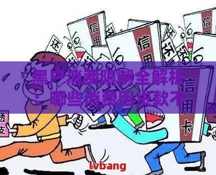 黑户消费限制全解析：哪些消费因贷款不良被禁止？