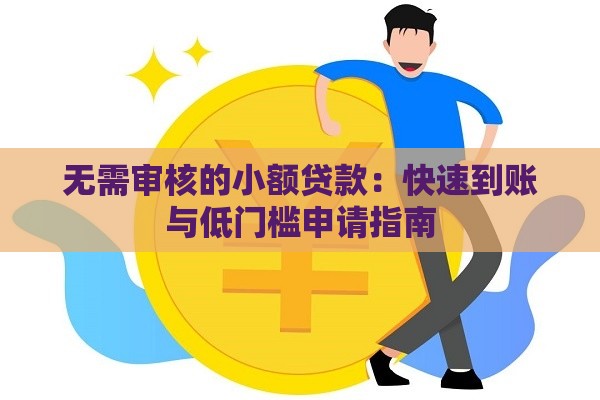 无需审核的小额贷款：快速到账与低门槛申请指南