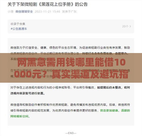 网黑急需用钱哪里能借10000元？真实渠道及避坑指南