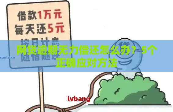 网贷逾期无力偿还怎么办？5个正确应对方法