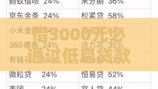 借3000元必通过低息贷款攻略：正规渠道与利息计算方法详解