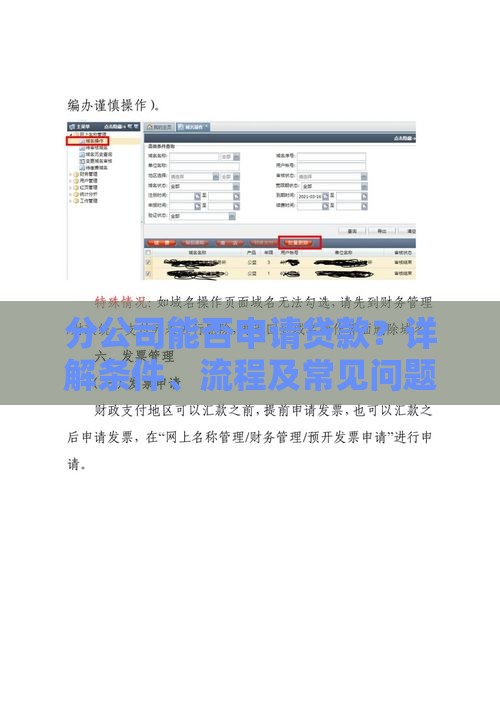 分公司能否申请贷款？详解条件、流程及常见问题