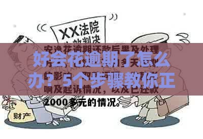 好会花逾期了怎么办？5个步骤教你正确处理贷款逾期问题